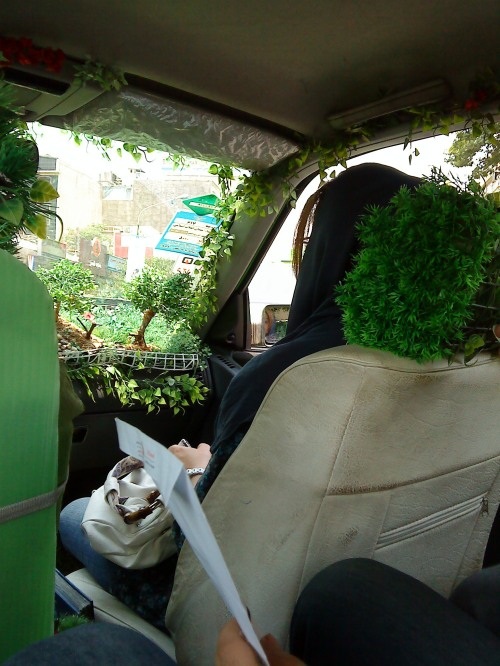 تاکسی جنگلی در تهران